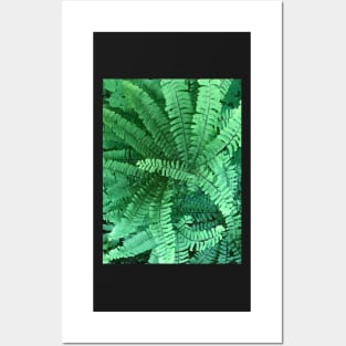 Spiral Green Fern Posters and Art